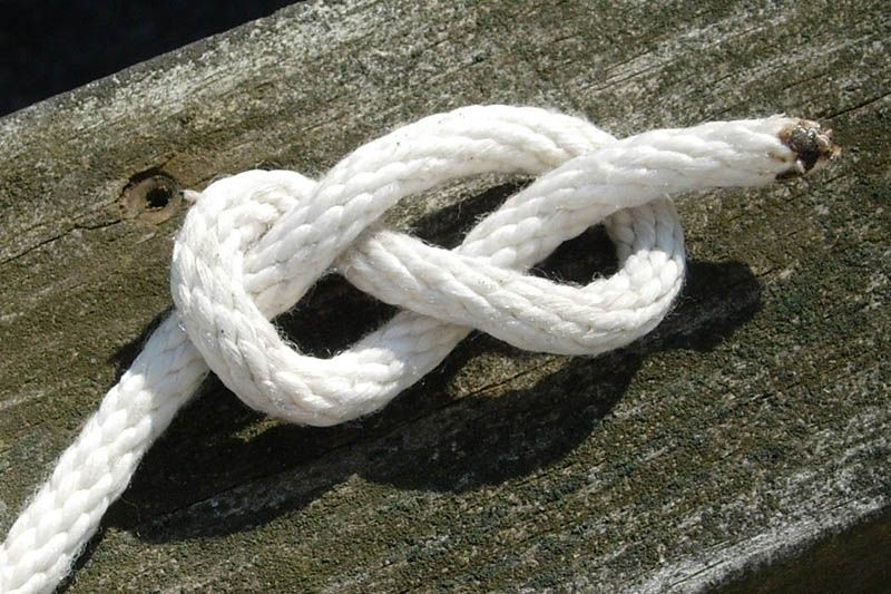 nœud_haut_de_taille-wikipedia