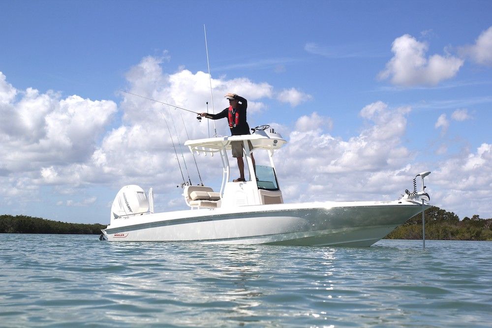 Boston Whaler 240 Dauntless Pro : bateau conçu pour les pêcheurs.