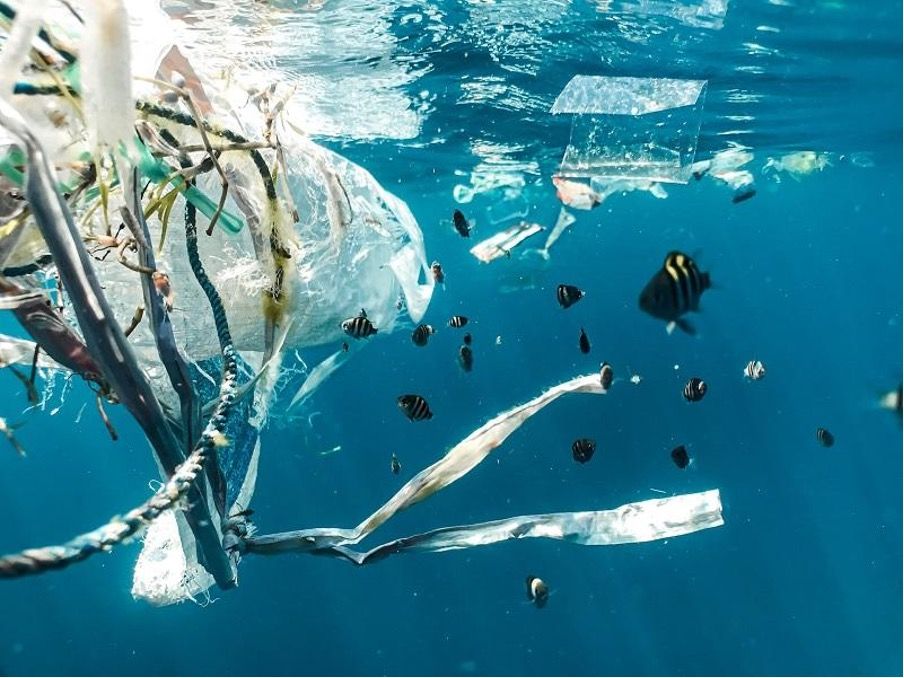Vue sous-marine de déchets plastiques flottants entourés de poissons 