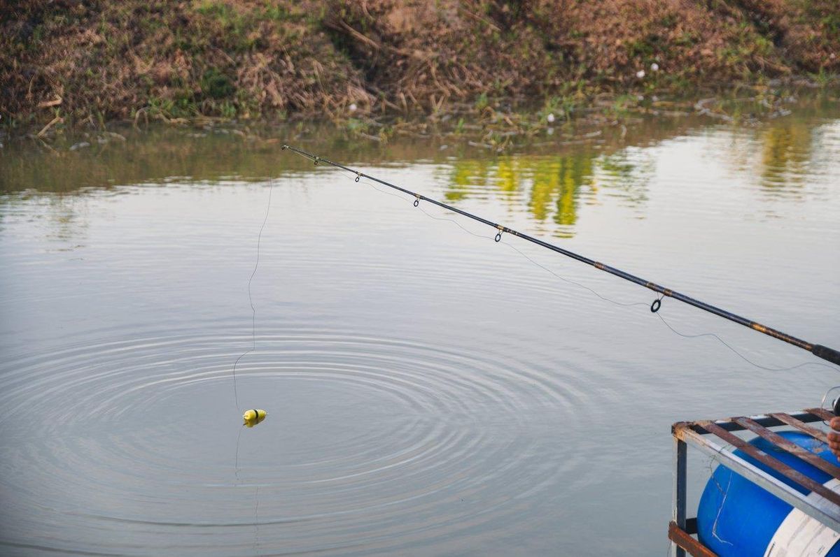 Angler ajustant son montage de gardon avec asticot et flotteur en pêche en eau douce.