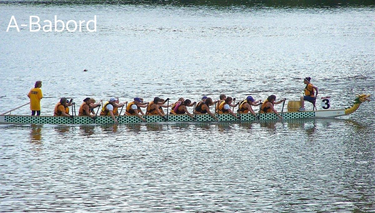 Coordination et posture synchronisée : clés de la performance en aviron.