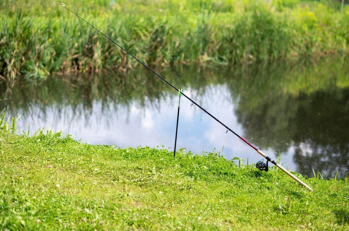 Detecteur de touches électronique fixé sur une canne à pêche en eau douce avec LED clignotante pour une meilleure détection des prises.