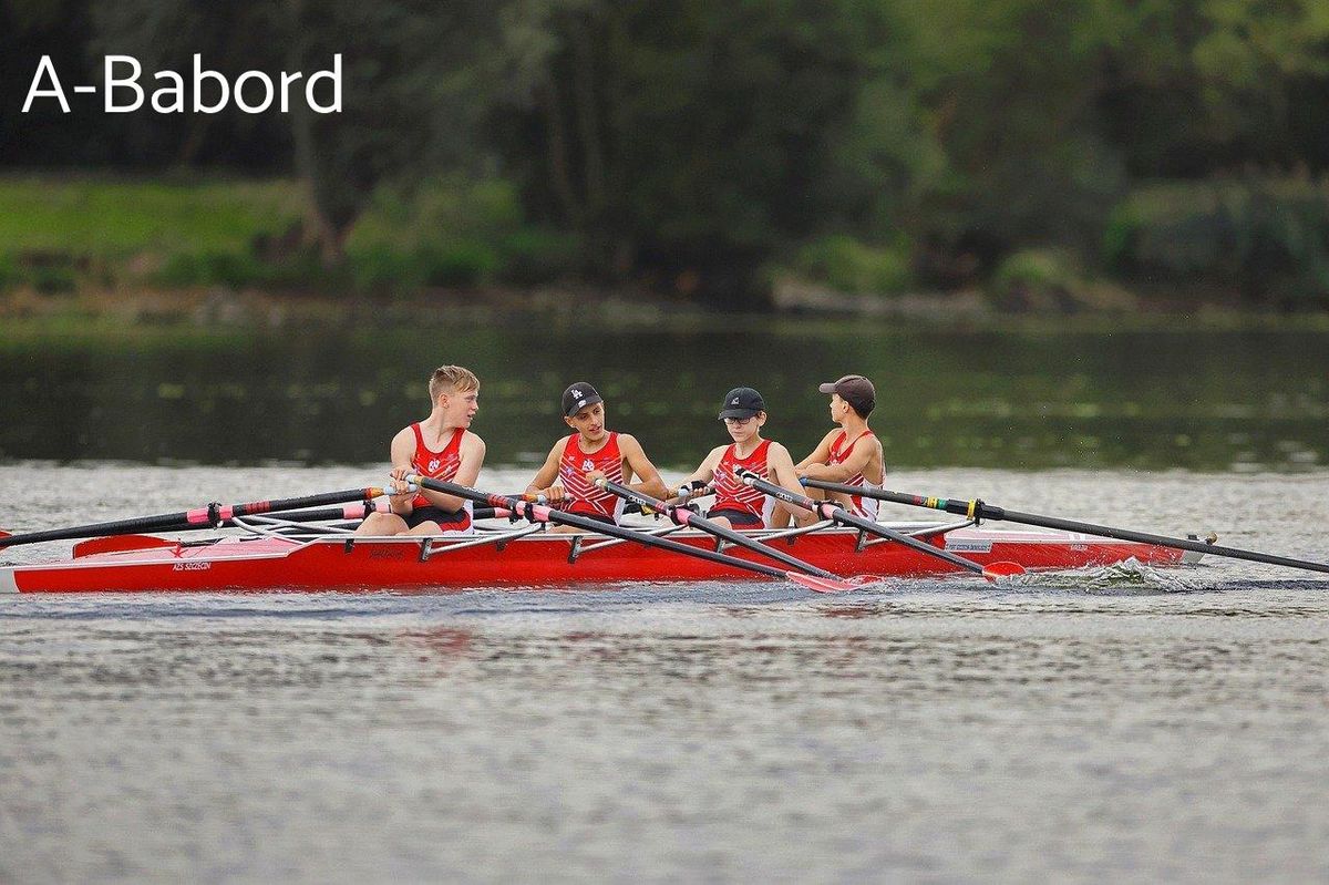 Équipe d'aviron en action : précision et équipement au cœur de la compétition.