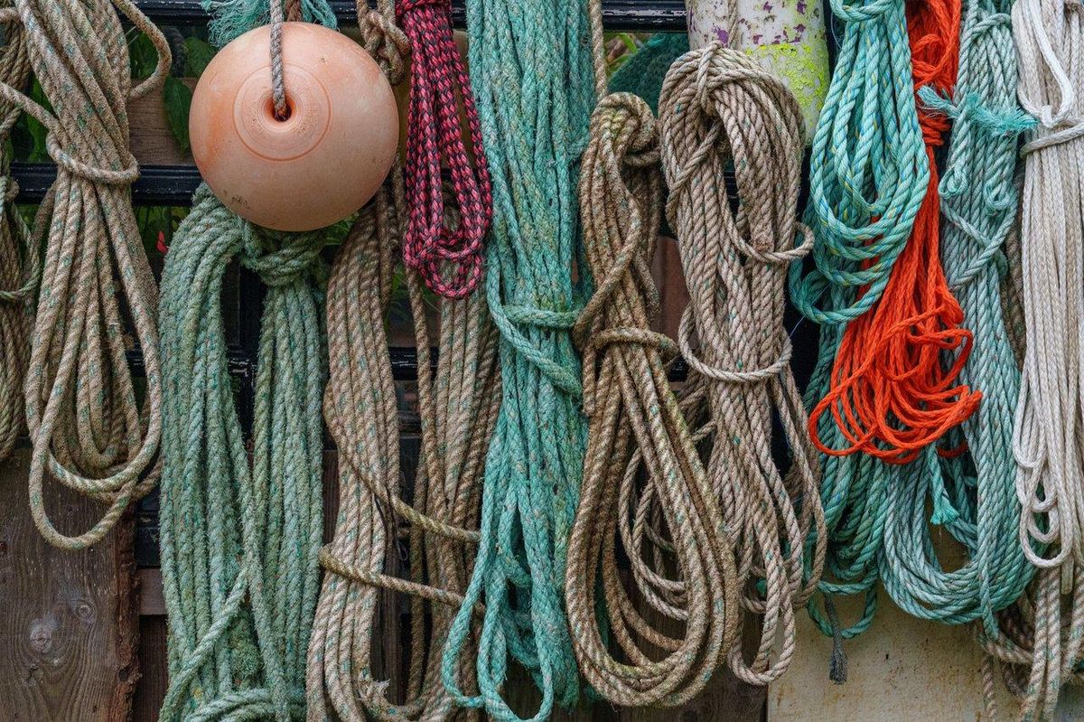 Espace de stockage organisé avec cannes à pêche verticales et accessoires pour une pêche en eau douce efficace.