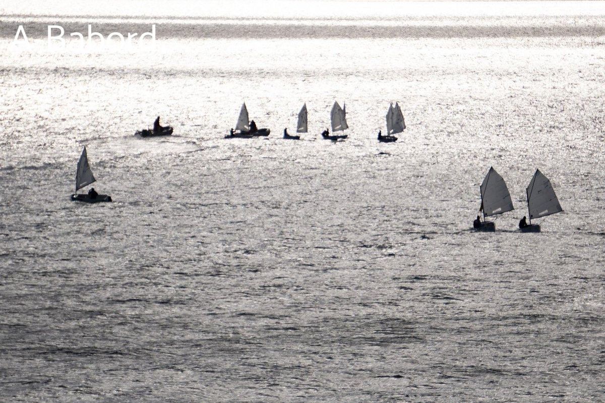 Flotte à l’horizon : l’avance de Dalin résume l'art de dominer les vagues en solitaire. ⛵️