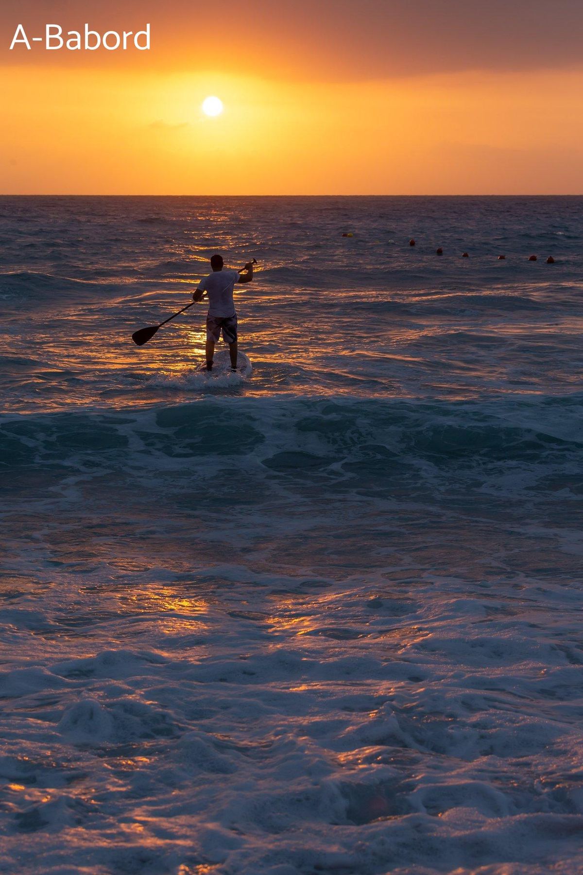 Glisse à l'aube: quand la passion du paddle éclaire les premiers rayons du soleil.