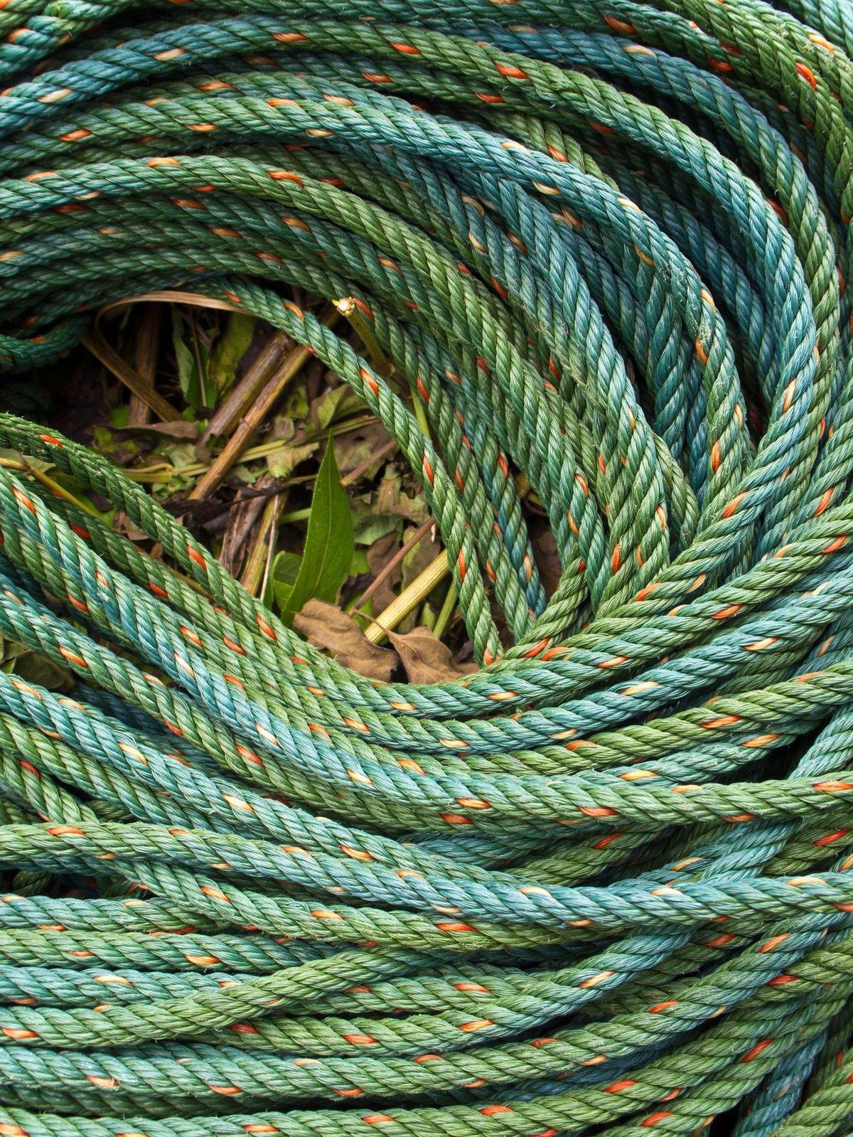 Gros plan d’échantillons de lignes de pêche : monofilament, tresse et fluorocarbone pour choisir la meilleure fishing line samples closeup.