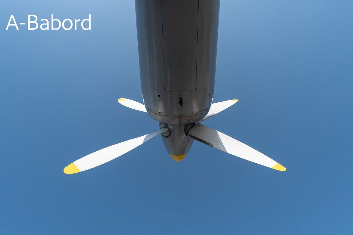 Hélice vue du dessous : l'alliage léger optimise performances et durabilité.