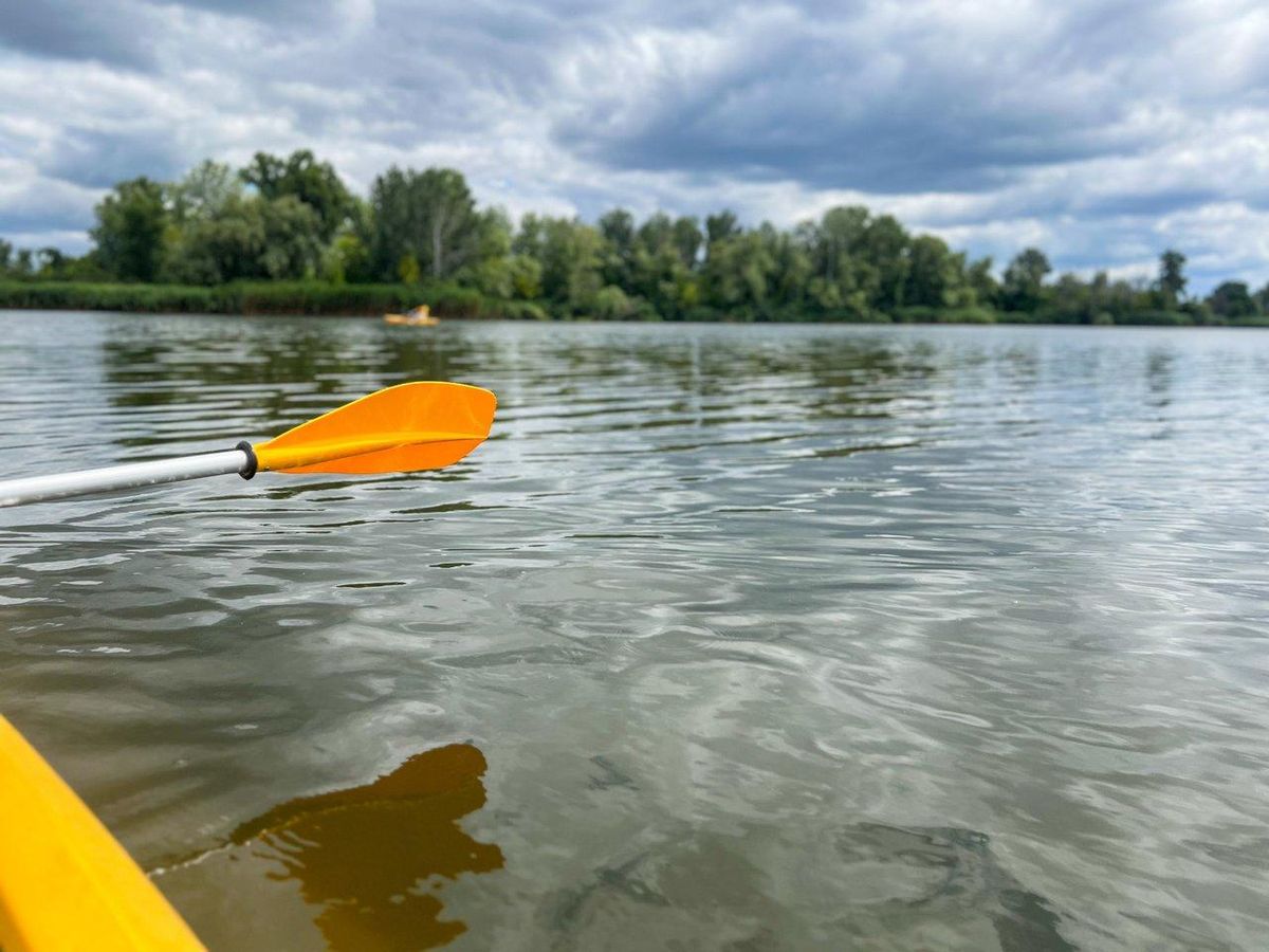 Kayak jaune glissant paisiblement sur un lac calme entouré de nature et de végétation.