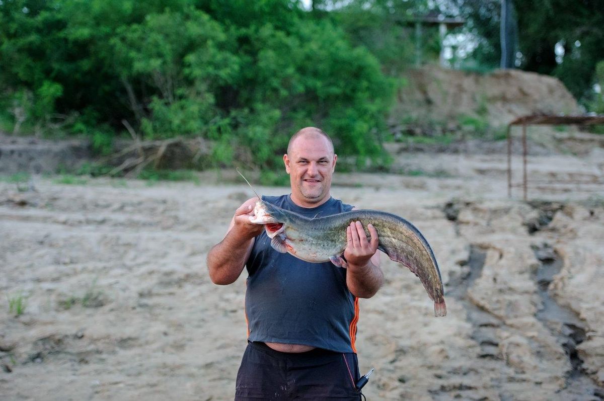 Matériel de pêche au silure prêt pour une initiation, avec cannes, leurres et appâts sur une table.