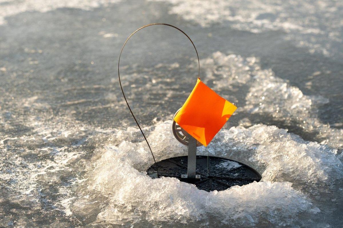 Matériel de pêche hiver avec canne jigging, moulinet et leurres larges pour le lieu jaune en eau froide.