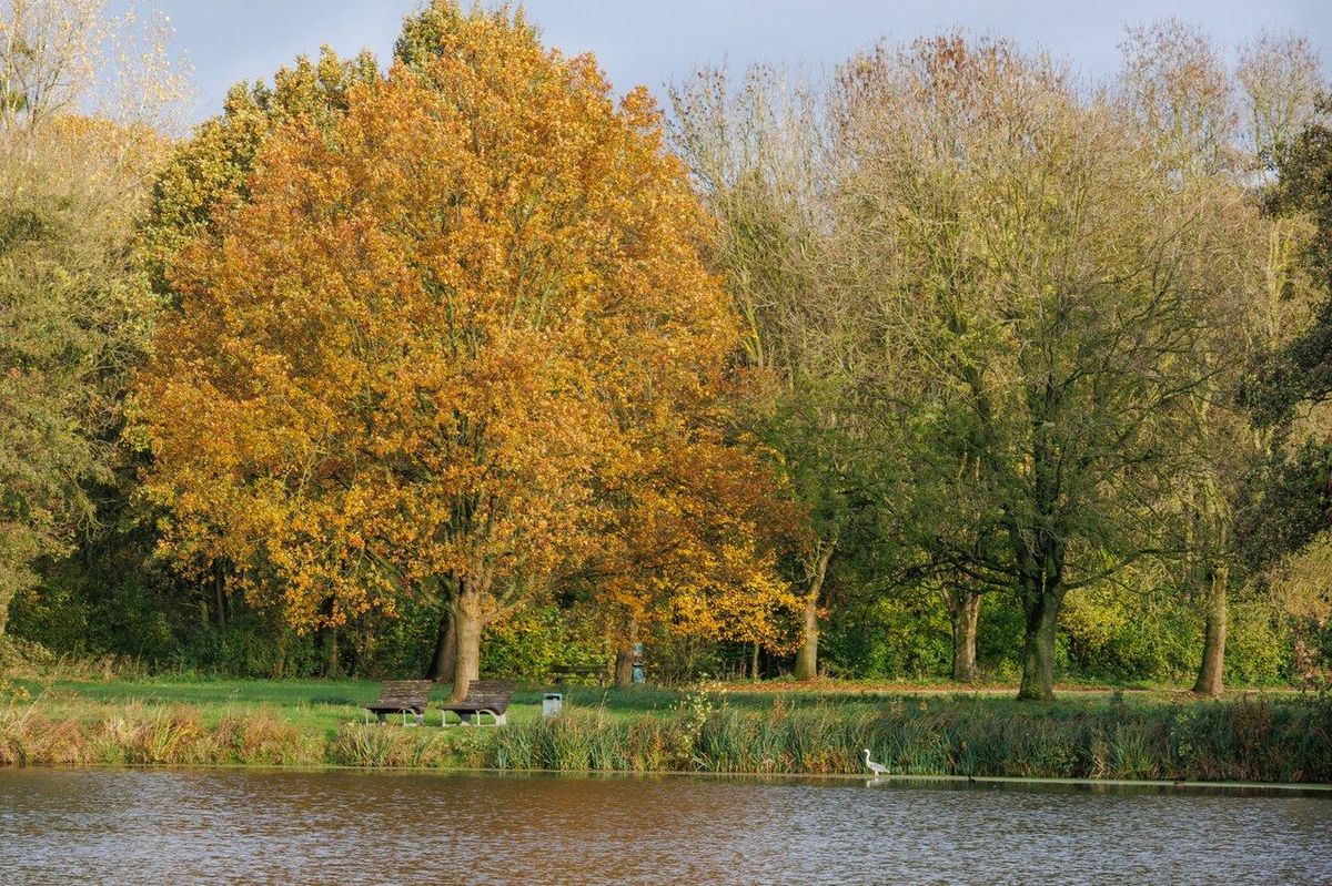 Matériel de pêche léger avec canne télescopique et boîte d'accessoires au bord d’un étang en automne.