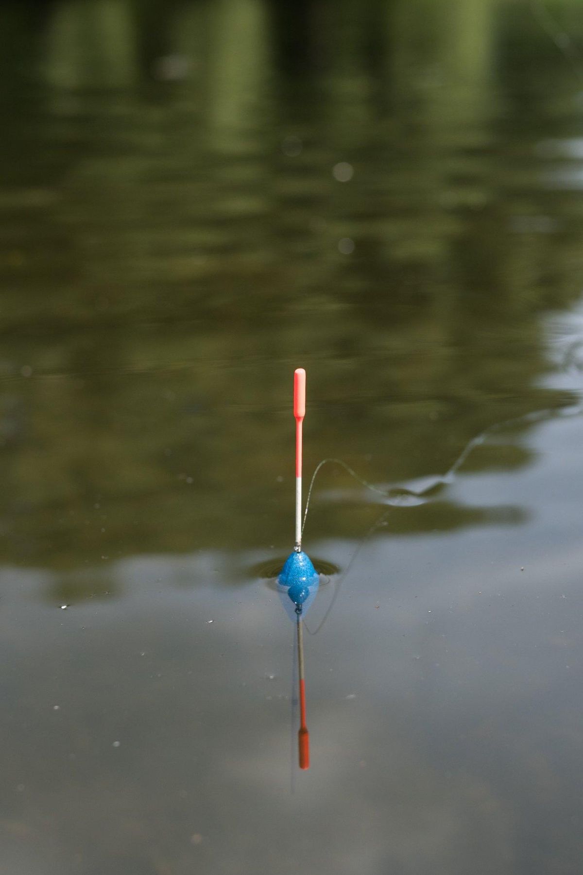 Montage de pêche à l'anglaise avec un float waggler visible sur une rivière calme, illustrant la technique de l'english river fishing float.