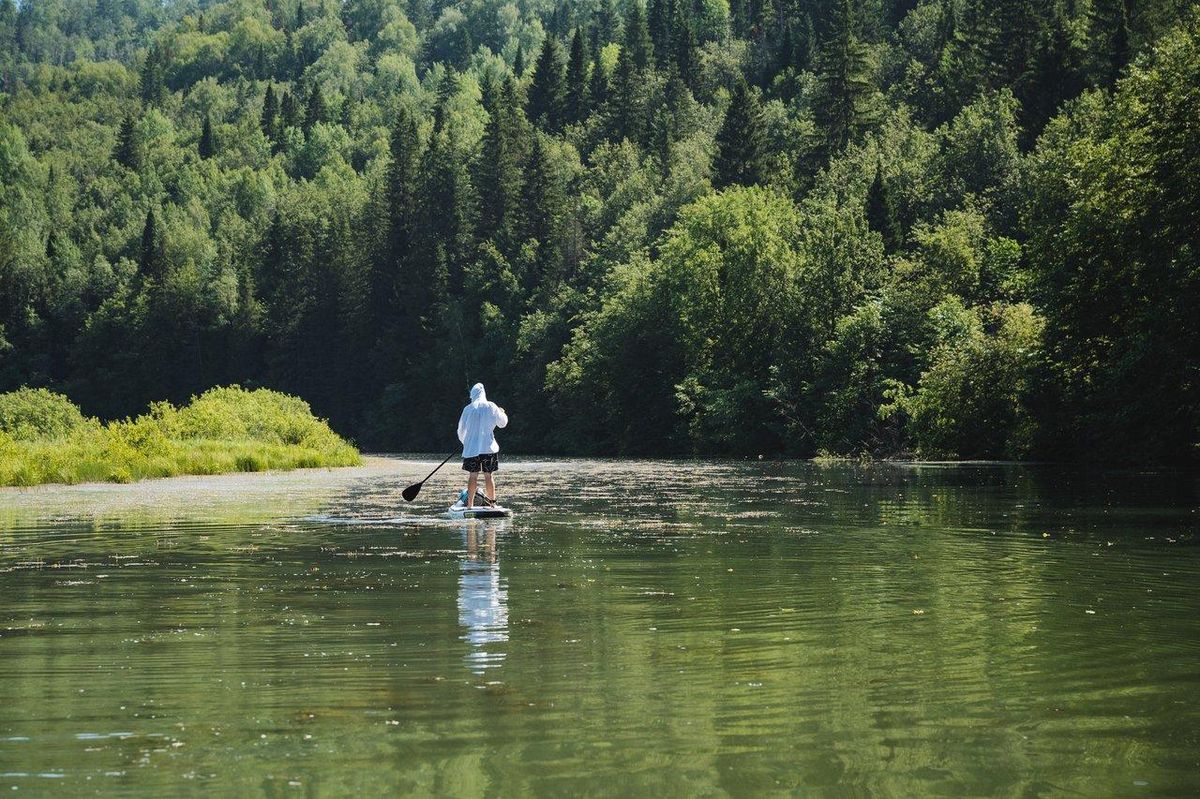 Paddle surf en rivière dans une gorge naturelle, eau claire et cadre paisible entouré de feuillages.