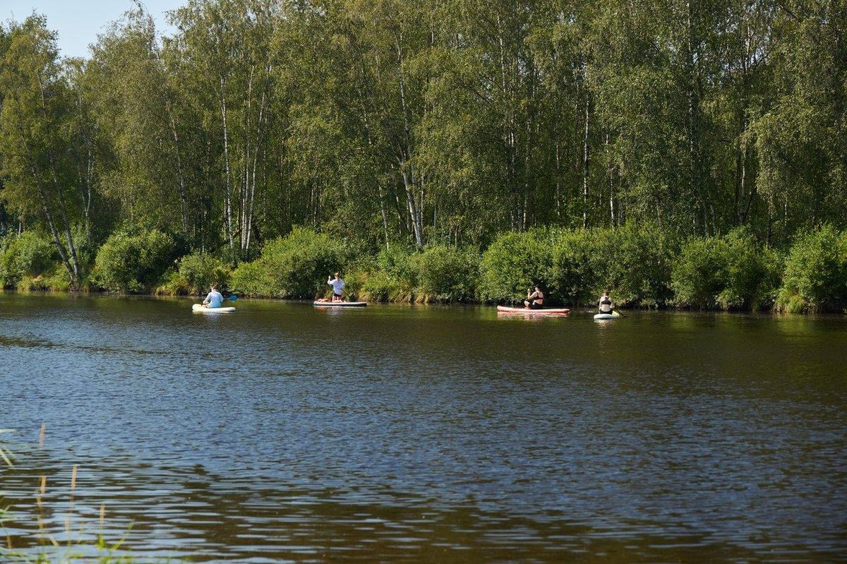 Pagayeurs en initiation sur une rivière calme entourée de forêt verdoyante, parfait pour un kayak en eau calme.