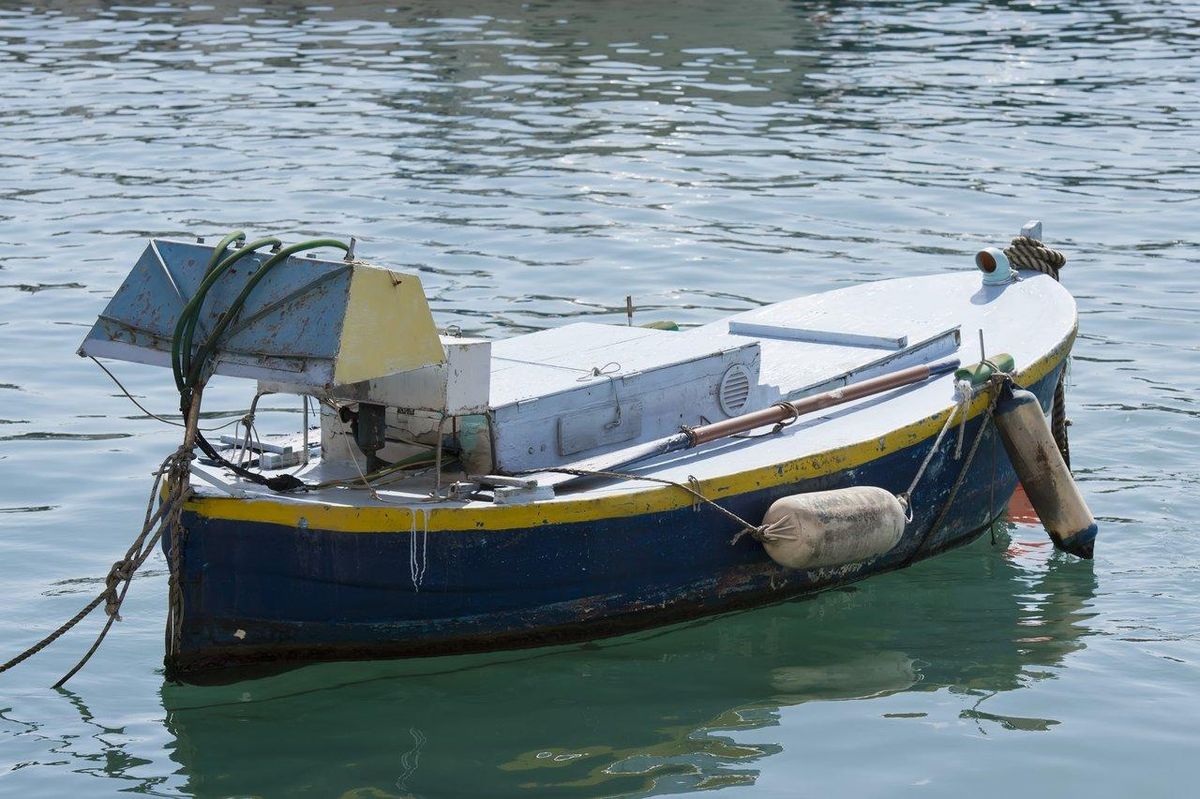 Pêche au calamar en bateau avec sonar, montrant le matériel utilisé pour repérer les cibles sous-marines.