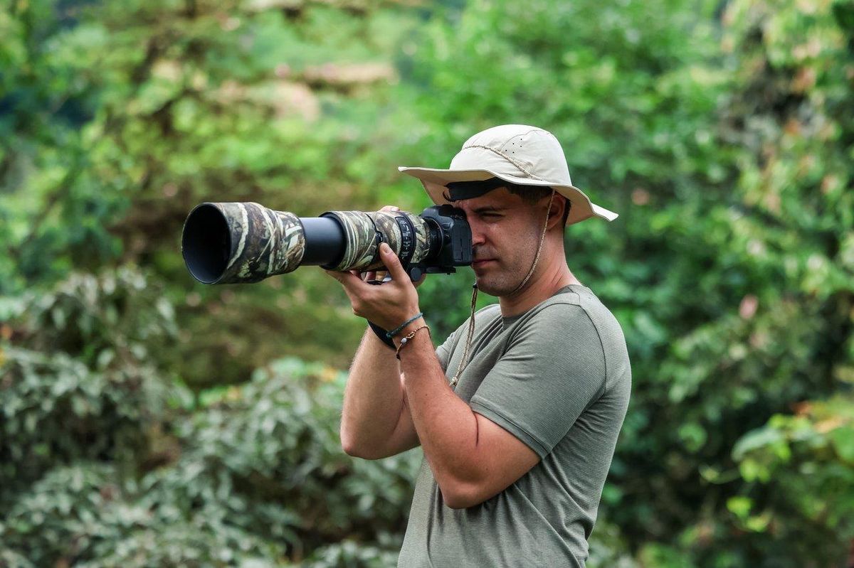 Photographe wildlife en affût caché dans la jungle, capturant un oiseau sauvage avec un téléobjectif.