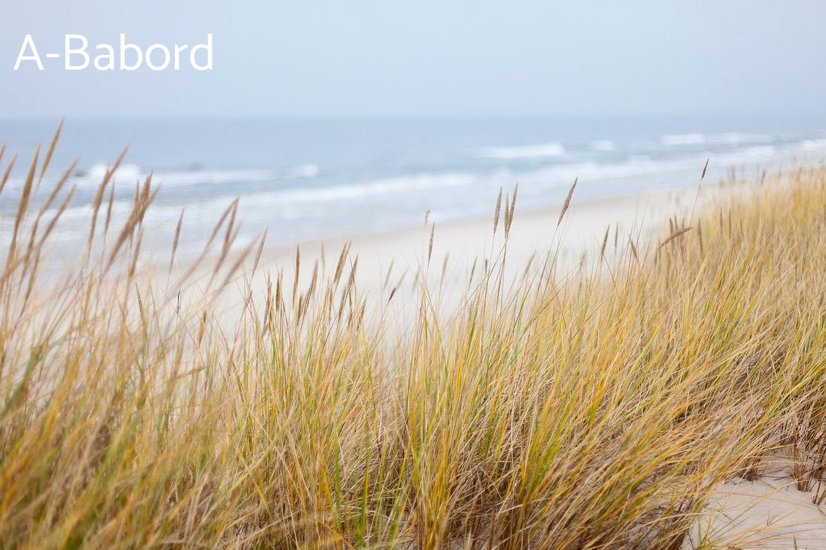 Plage sauvage, dunes dorées—un coin parfait pour découvrir les joyaux côtiers en paddle.