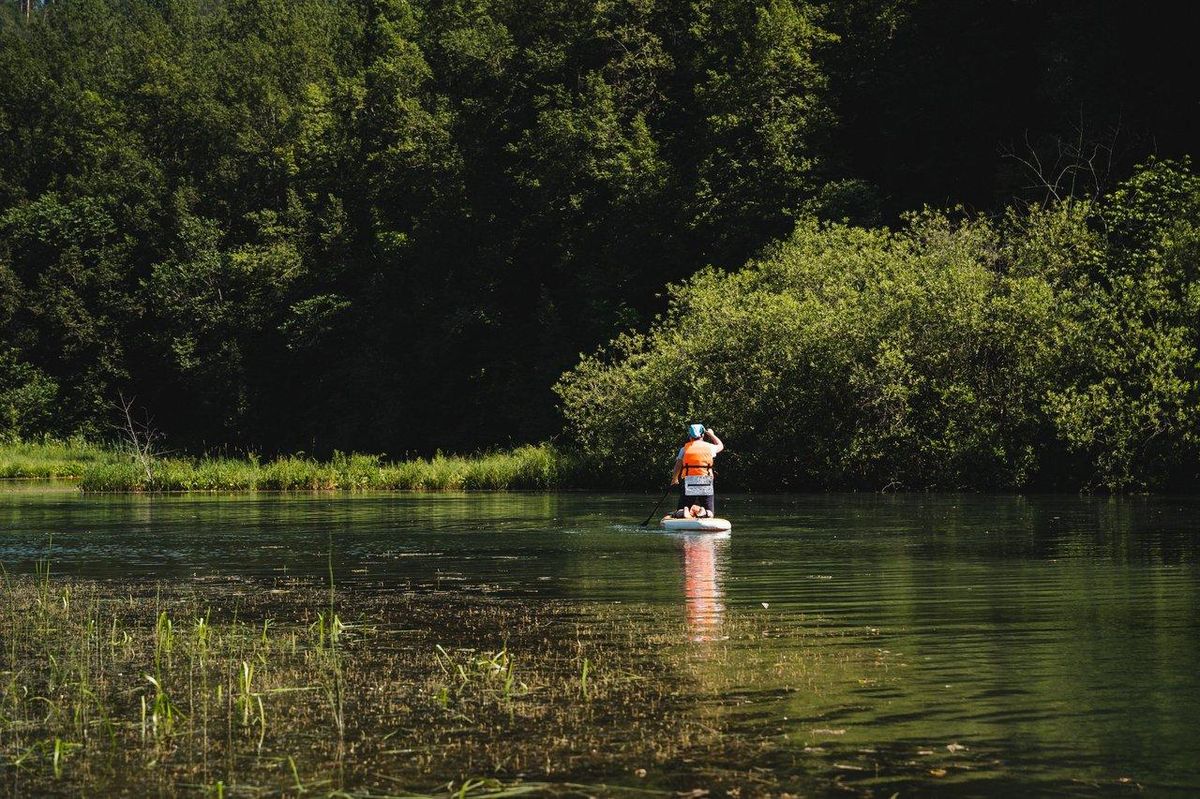 Pratiquant de stand up paddle sur un lac calme, adoptant une posture correcte pour une progression efficace.
