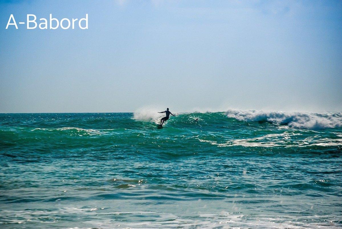 Surfez les vagues avec l'équipement parfait pour toutes conditions météo.