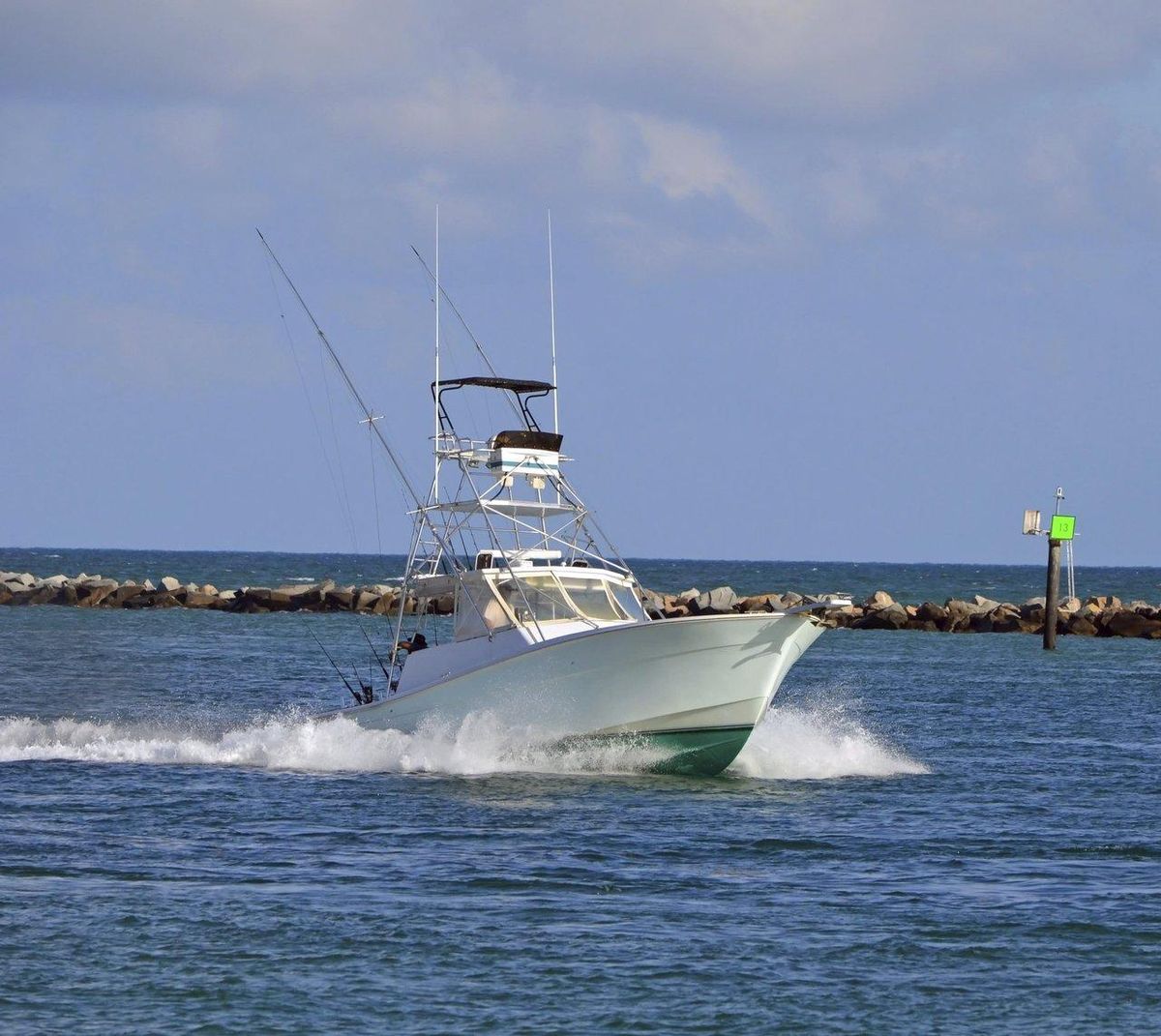 Un guide professionnel en bateau de pêche guide les amateurs lors d'une sortie en mer pour une expérience de pêche sportive inoubliable.