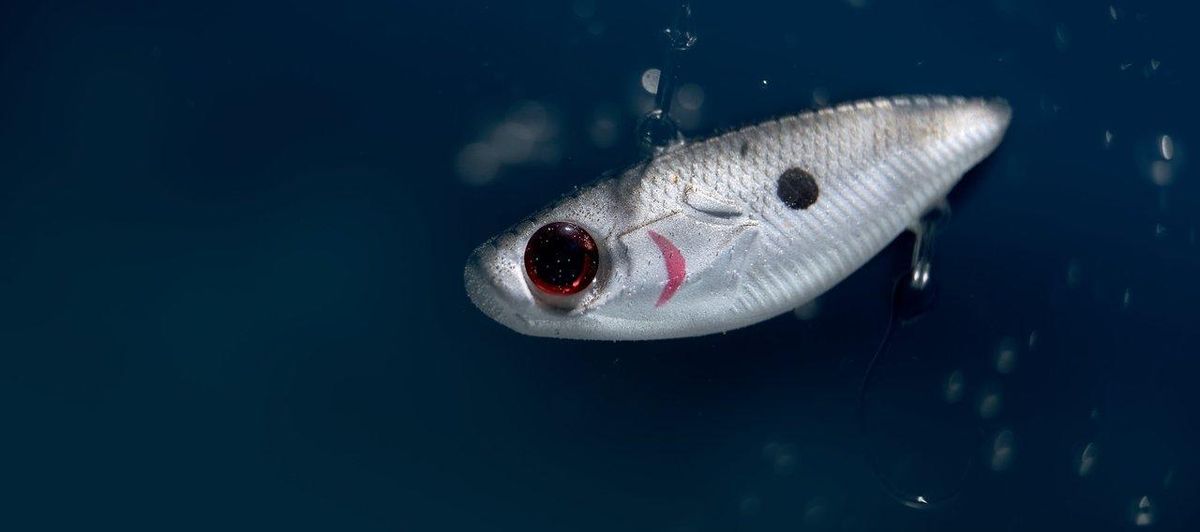Un leurre métallique utilisé pour la pêche au bar à la traîne en mer calme, capturant un poisson avec une mer d'une grande clarté.