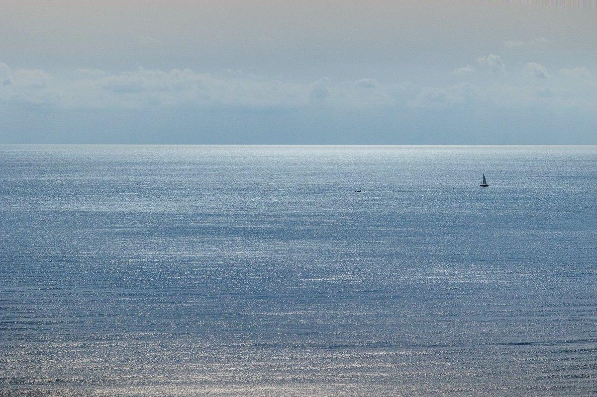 Une planche de wing foil en action sur une mer calme, offrant une glisse silencieuse et écologique.