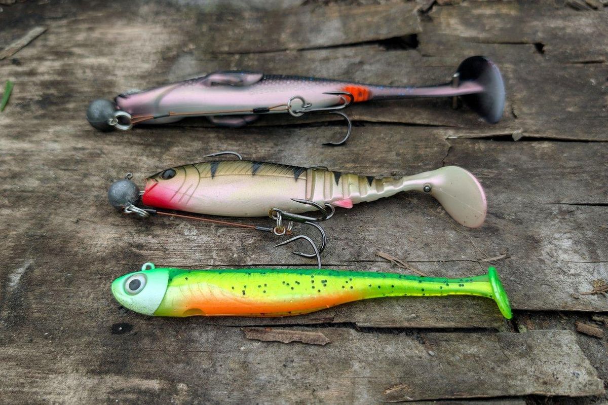 Une tackle box soft baits bien organisée pour préserver efficacement vos appâts artificiels en milieu de pêche.