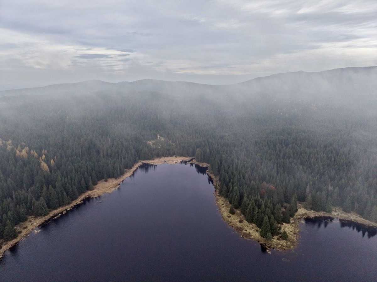 Vue aérienne de spots de pêche en lac, avec anses, roselières et reliefs sous-marins pour optimiser votre choix.