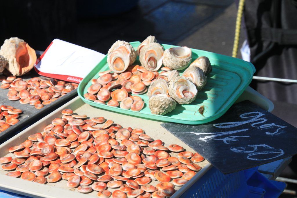 À la recherche des yeux de Sainte-Lucie en Corse : un trésor insulaire entre mythe et réalité