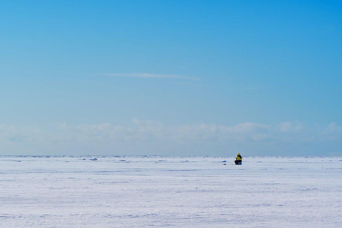 Adapter sa technique pour pêcher en mer durant la baisse des températures hivernales