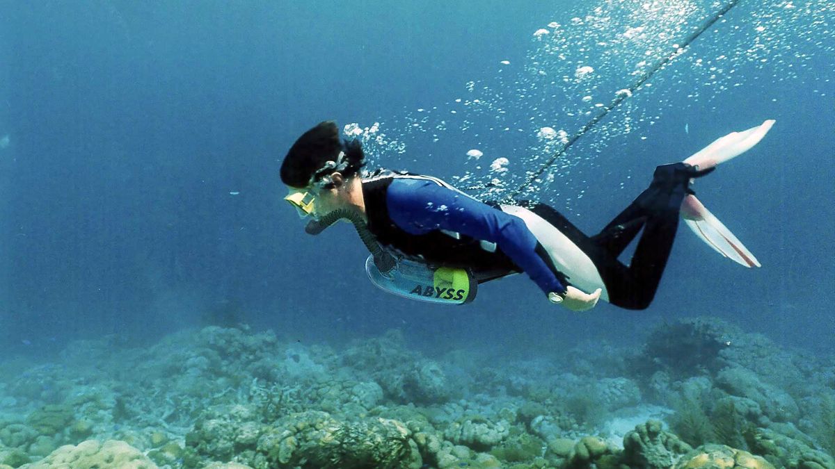 Admirer les fonds marins en liberté avec ExoLung