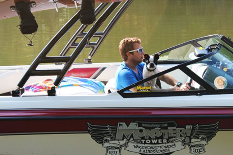 Animaux de compagnie à bord - 10 conseils de sécurité pour votre animal de compagnie