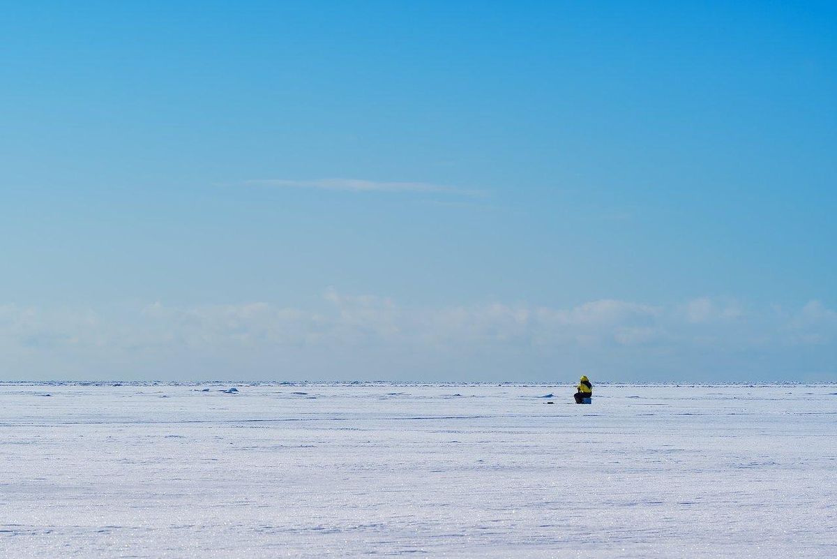 Appâts Artificiels Performants pour la Pêche en Mer en Hiver