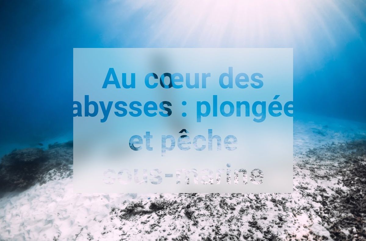 Au cœur des abysses : plongée et pêche sous-marine