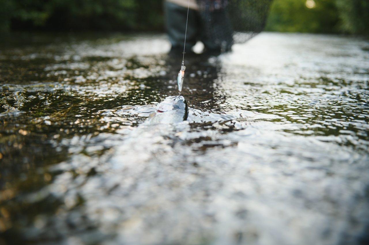 Augmenter ses chances de prise en lac lors d’une averse d’été : matériel et techniques rapides