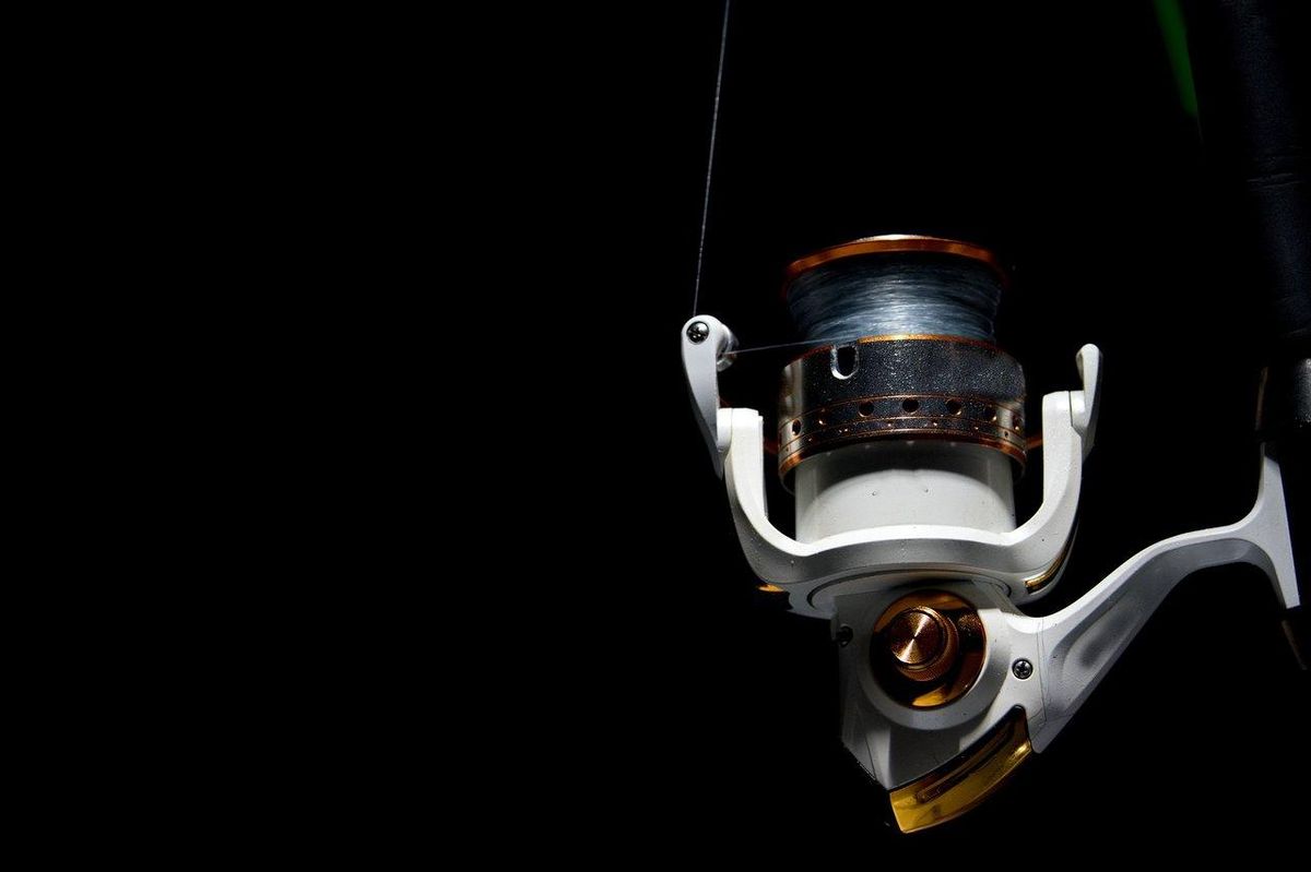 Bien choisir sa ligne de pêche en mer : monofilament, tresse ou fluorocarbone