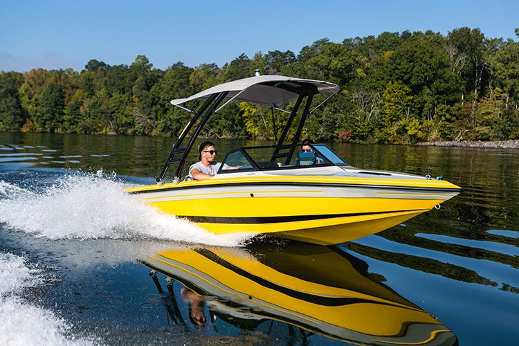 Bimini Monster Over the Top ou Bimini Cargo ?