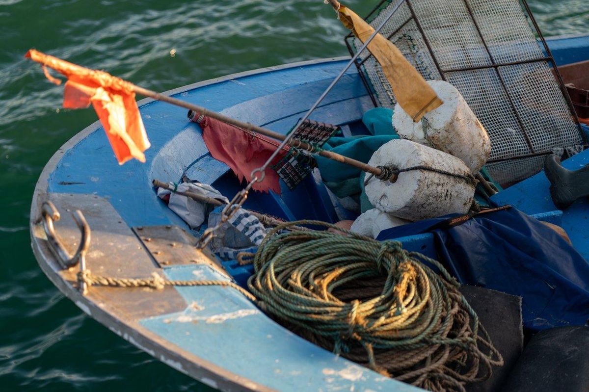 Budget complet pour équiper un poste de pêche à soutenir avec 3 cannes en bateau en 2026