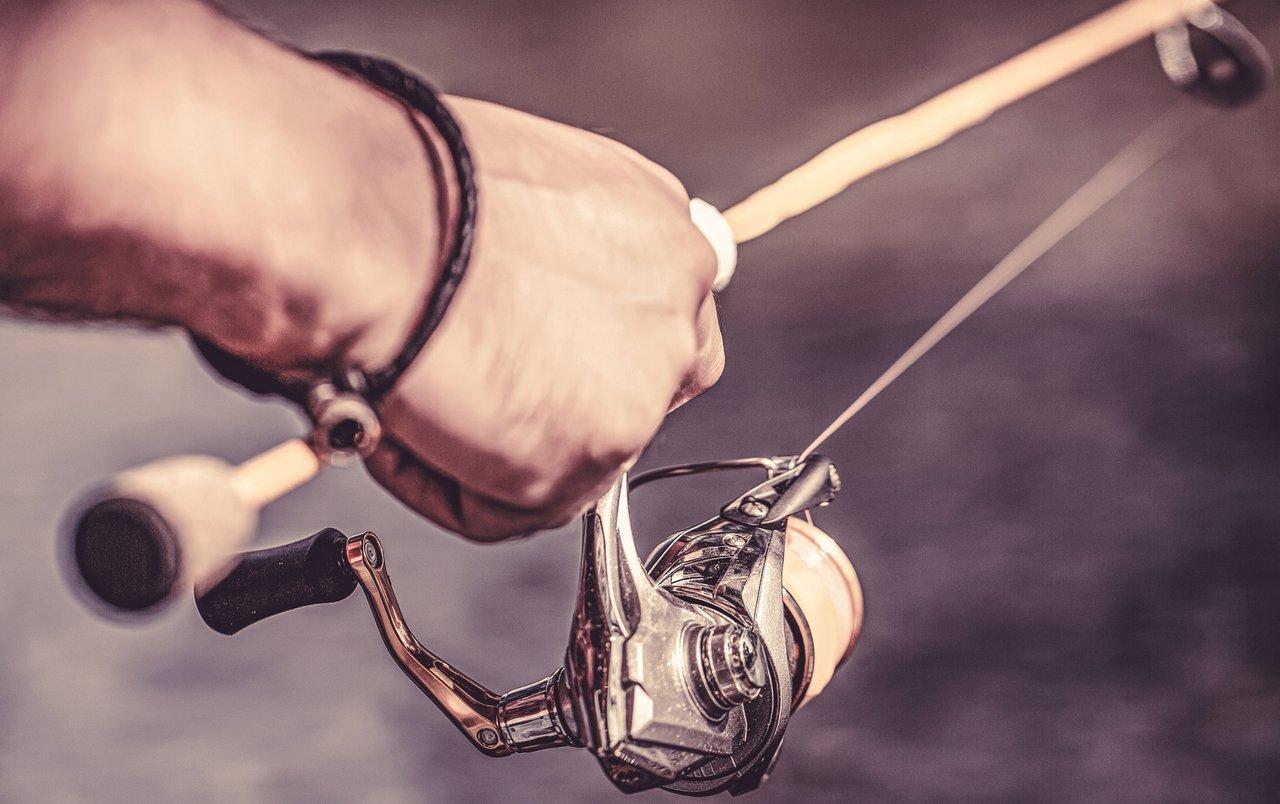 Budget complet pour équiper une équipe familiale avec moulinets Penn Spinfisher en surfcasting