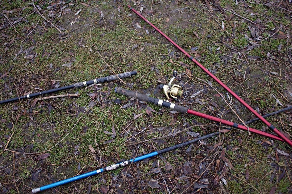 Budget complet pour une journée pêche au sandre à deux en 2026