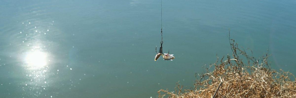 Choisir la taille des hameçons en eau douce selon l'espèce ciblée