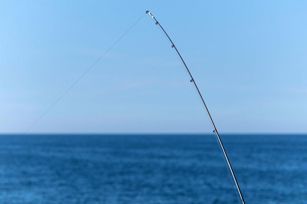 Choisir une canne à pêche adaptée à la mer : guide complet et expert