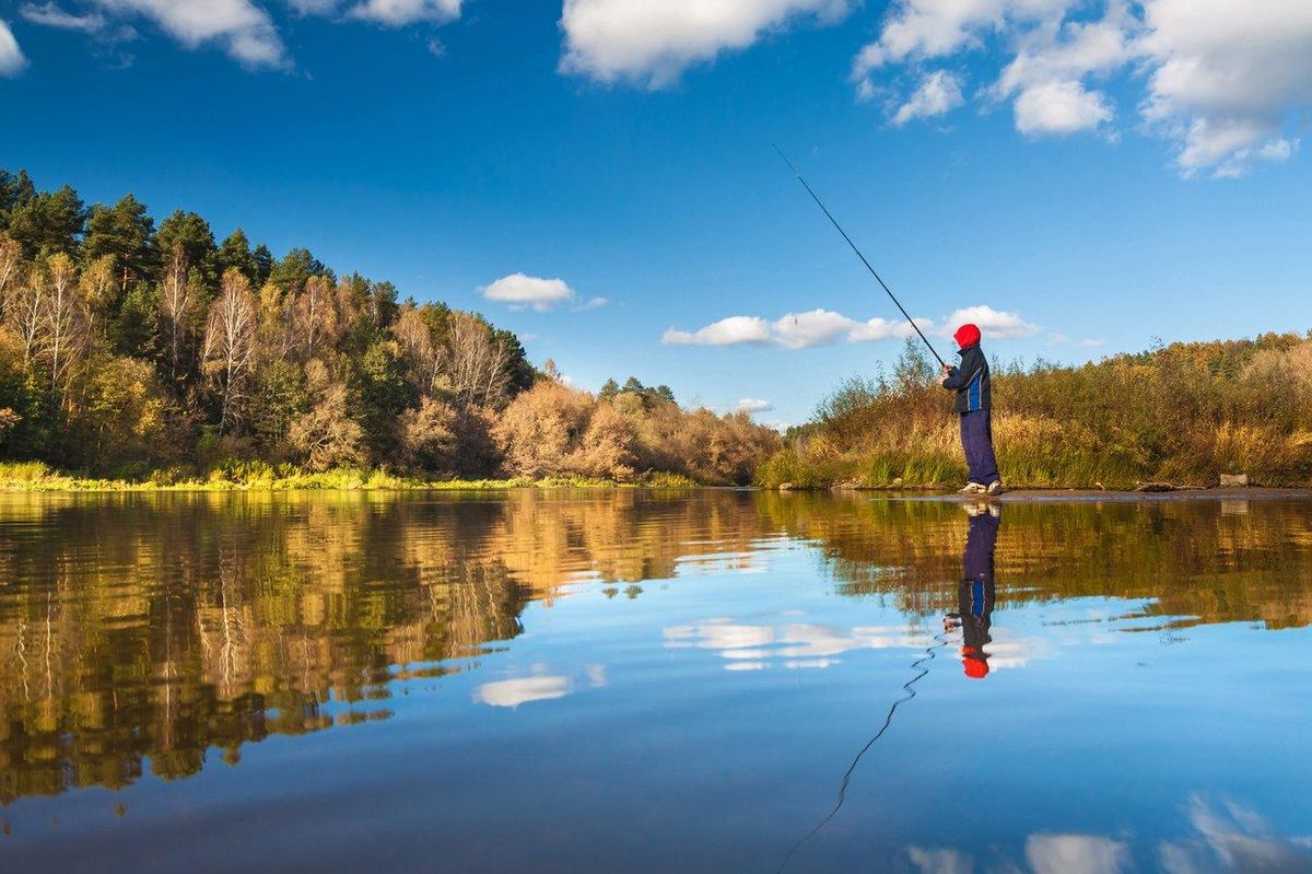 Quels poissons cibler en eau douce à la fin de l'automne (octobre-novembre) ?