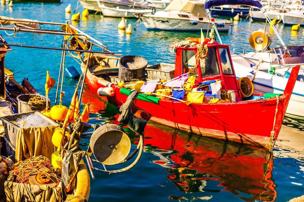 Quels poissons pêcher en Méditerranée : espèces courantes et stratégies efficaces