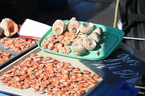 À la recherche des yeux de Sainte-Lucie en Corse : un trésor insulaire entre mythe et réalité