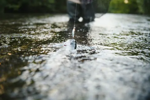 Augmenter ses chances de prise en lac lors d’une averse d’été : matériel et techniques rapides