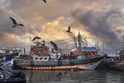 Pêche au broumé du thon rouge : matériel lourd, sardines et équipe