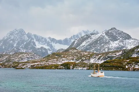 Pêche en mer été 2026 : les meilleures destinations en Europe et au grand large
