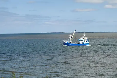 Pêche à la traîne côtière en Méditerranée : matériel et techniques pour débuter